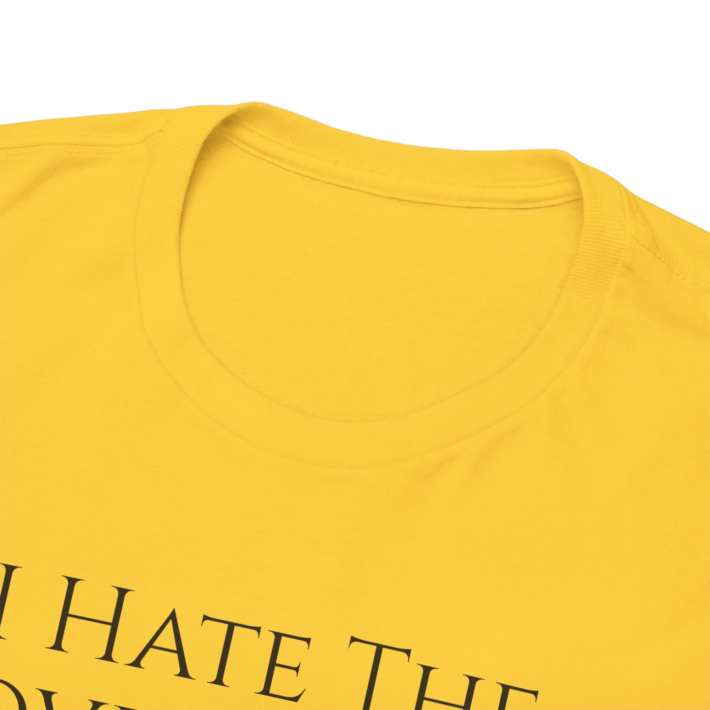 I Hate The Government (Extra Colors) - Unisex Heavy Cotton Tee