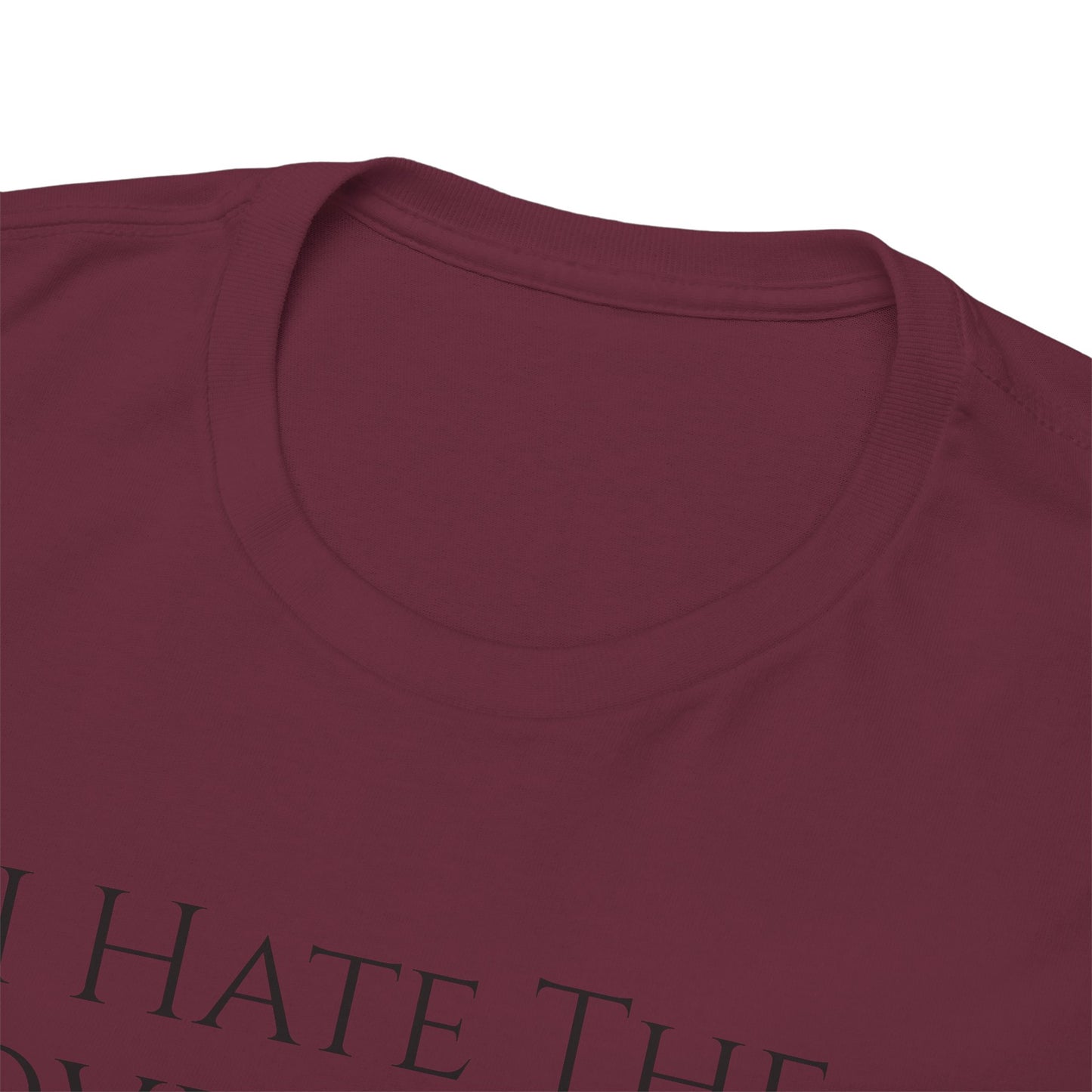 I Hate The Government (Extra Colors) - Unisex Heavy Cotton Tee