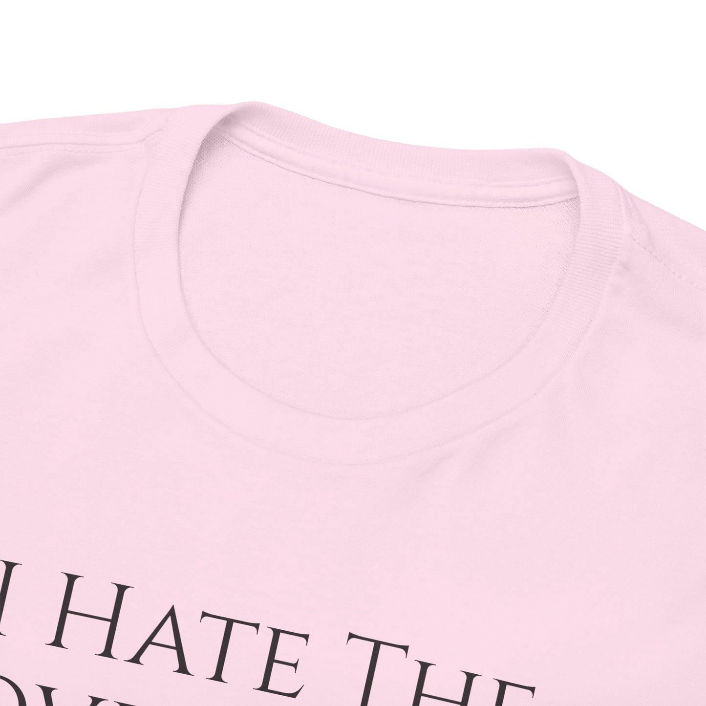I Hate The Government - Unisex Heavy Cotton Tee
