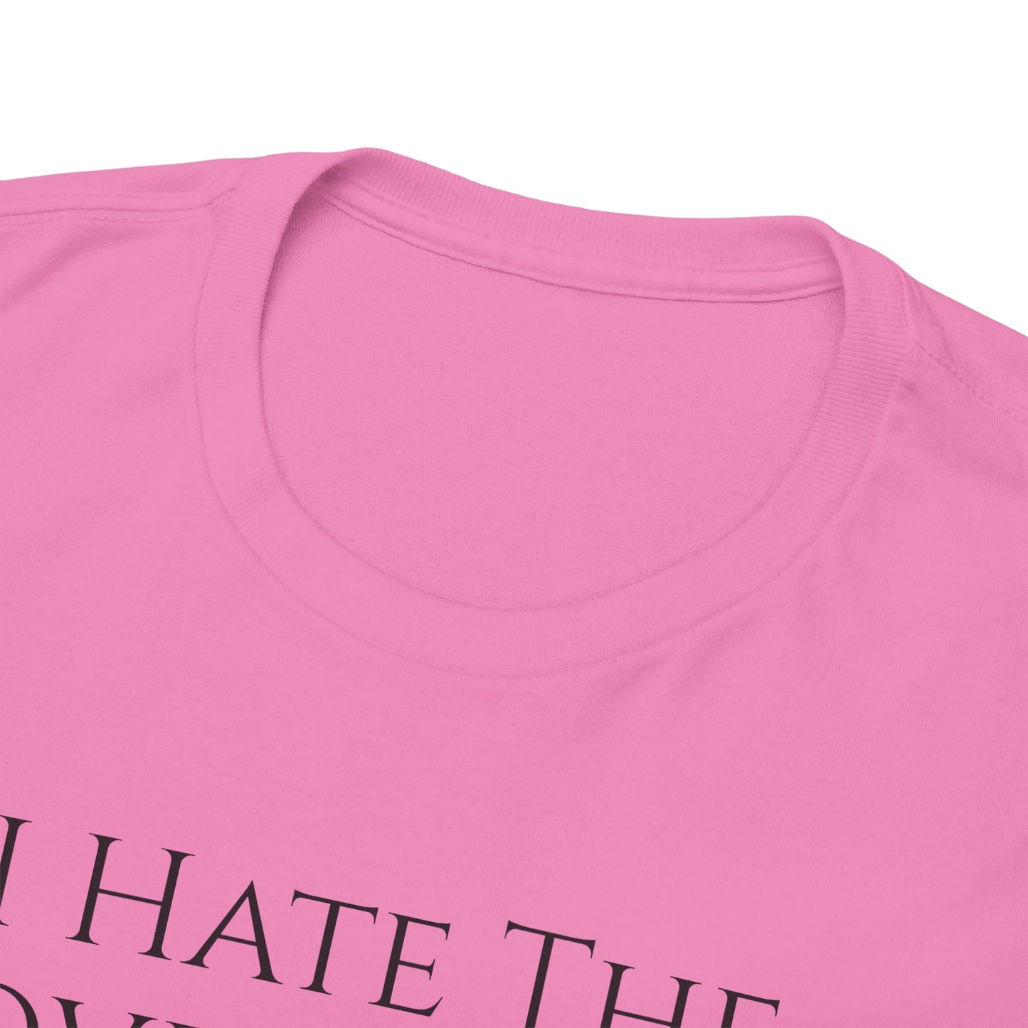 I Hate The Government - Unisex Heavy Cotton Tee