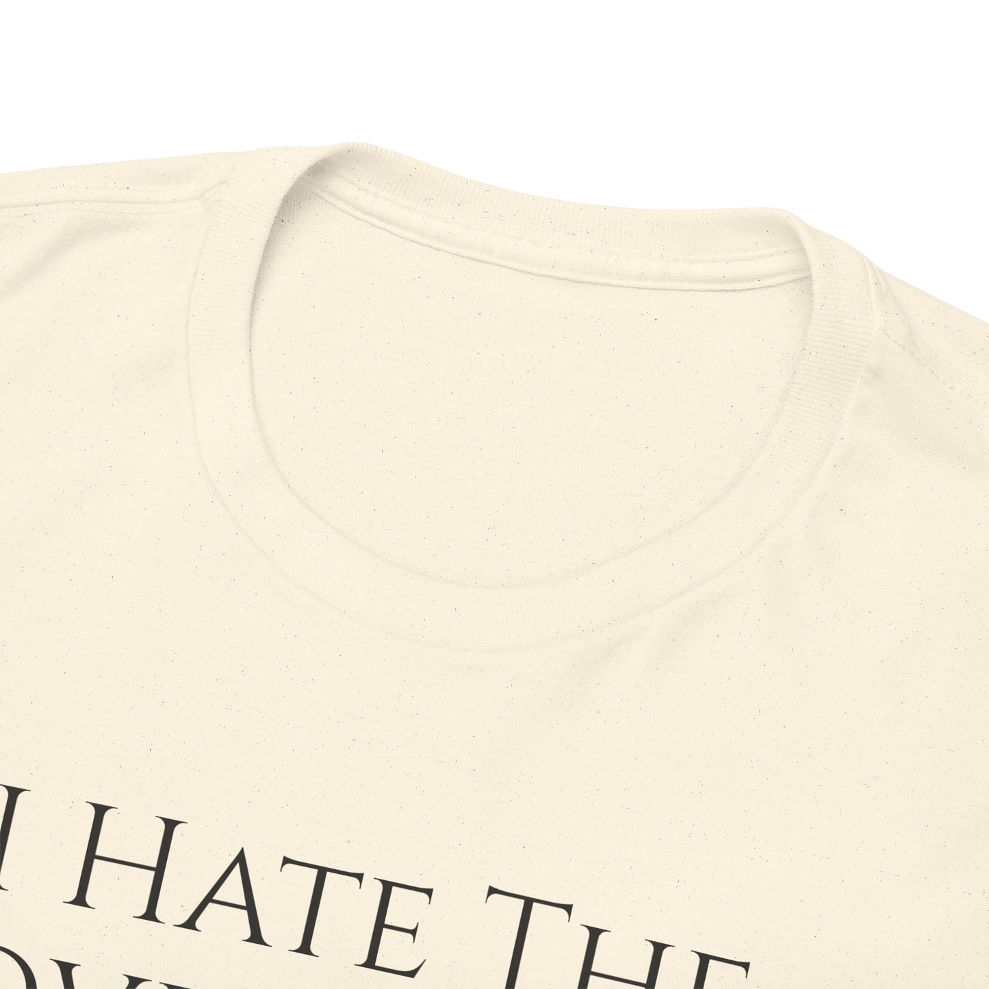 I Hate The Government (Extra Colors) - Unisex Heavy Cotton Tee