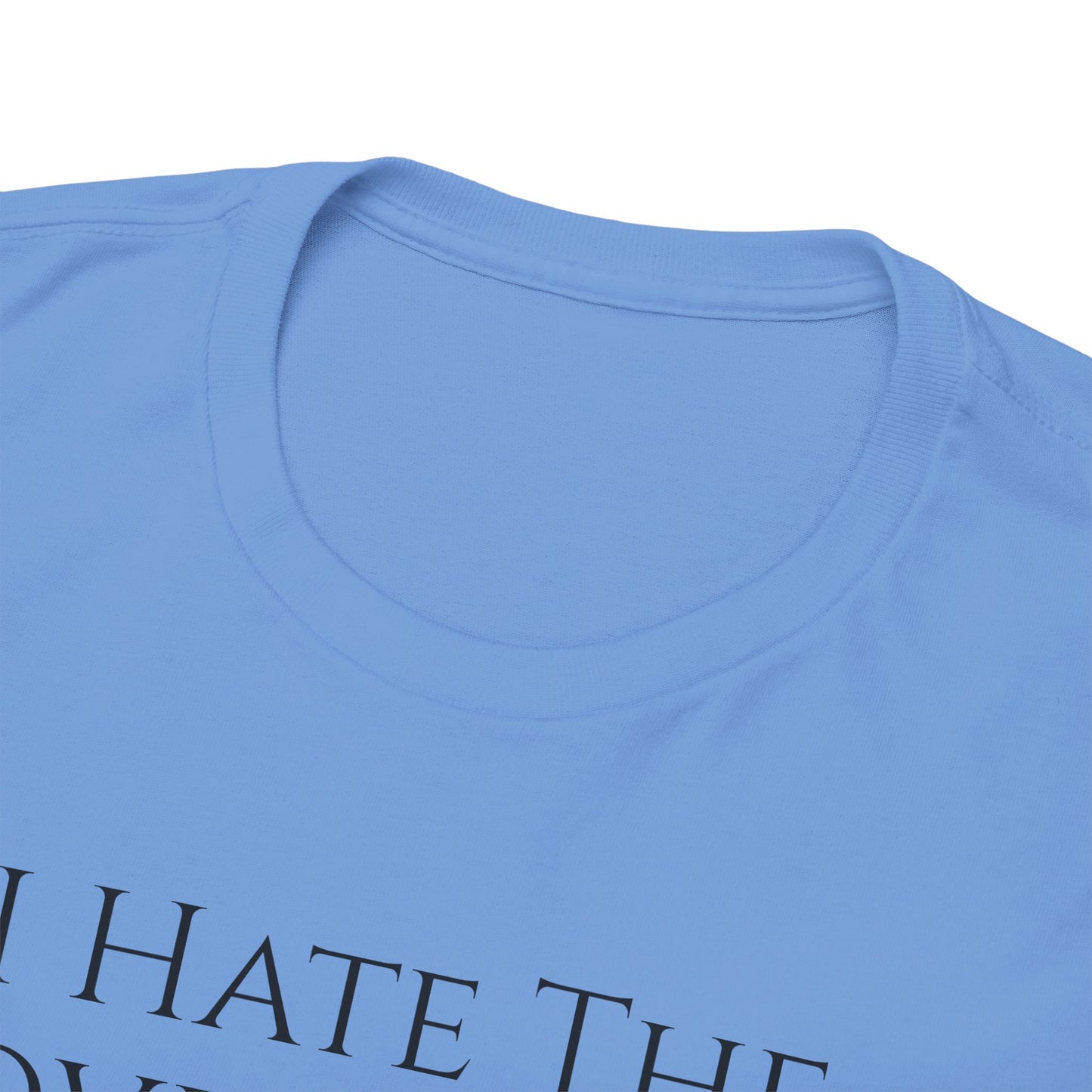I Hate The Government - Unisex Heavy Cotton Tee