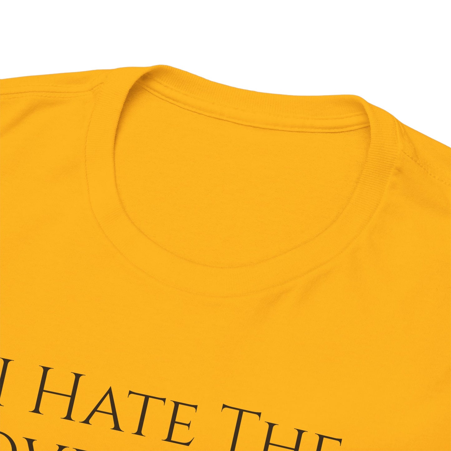 I Hate The Government (Extra Colors) - Unisex Heavy Cotton Tee
