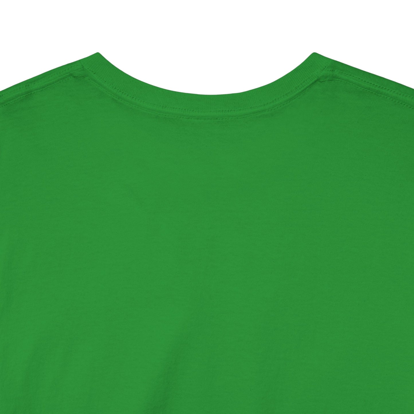 I Dont Pay TAXES (Extra Colors) - Unisex Heavy Cotton Tee