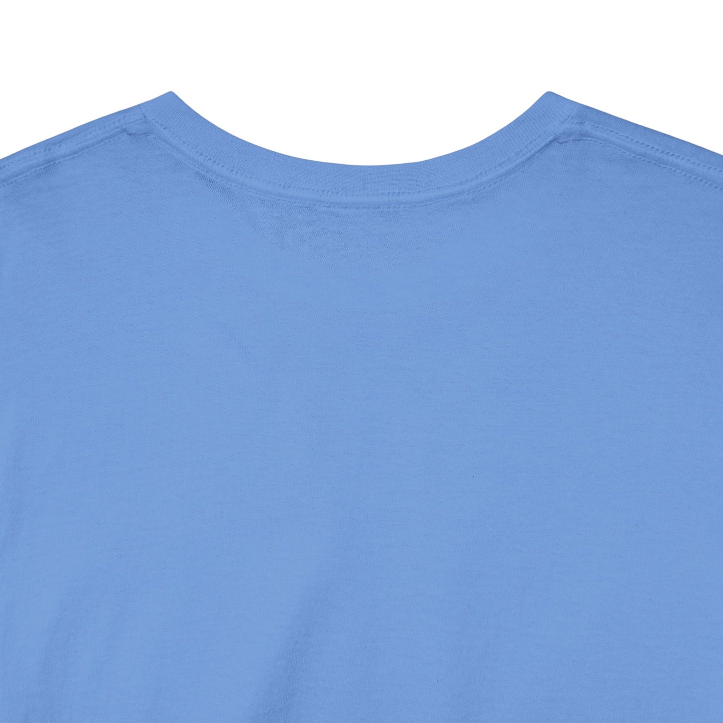 2022 Tax Evasion Champion - Unisex Heavy Cotton Tee