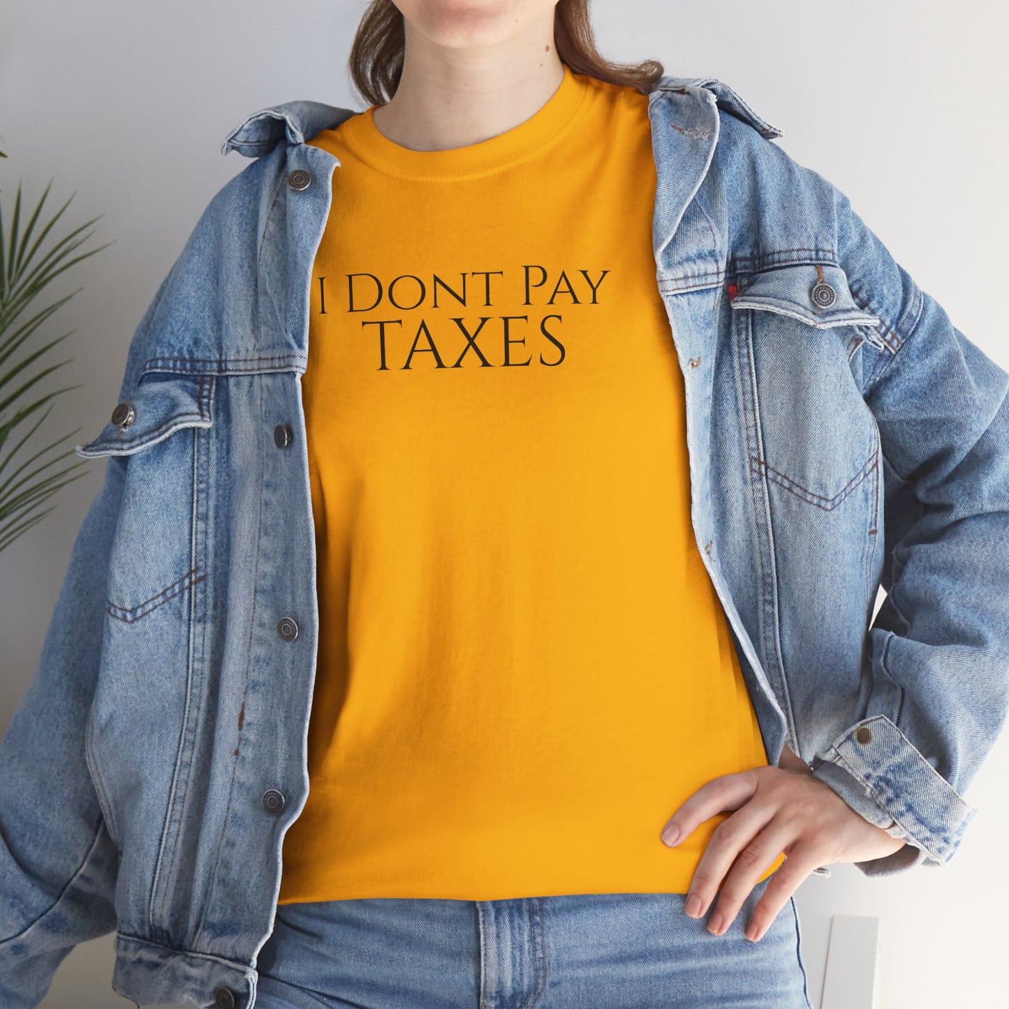 I Dont Pay TAXES - Unisex Heavy Cotton Tee