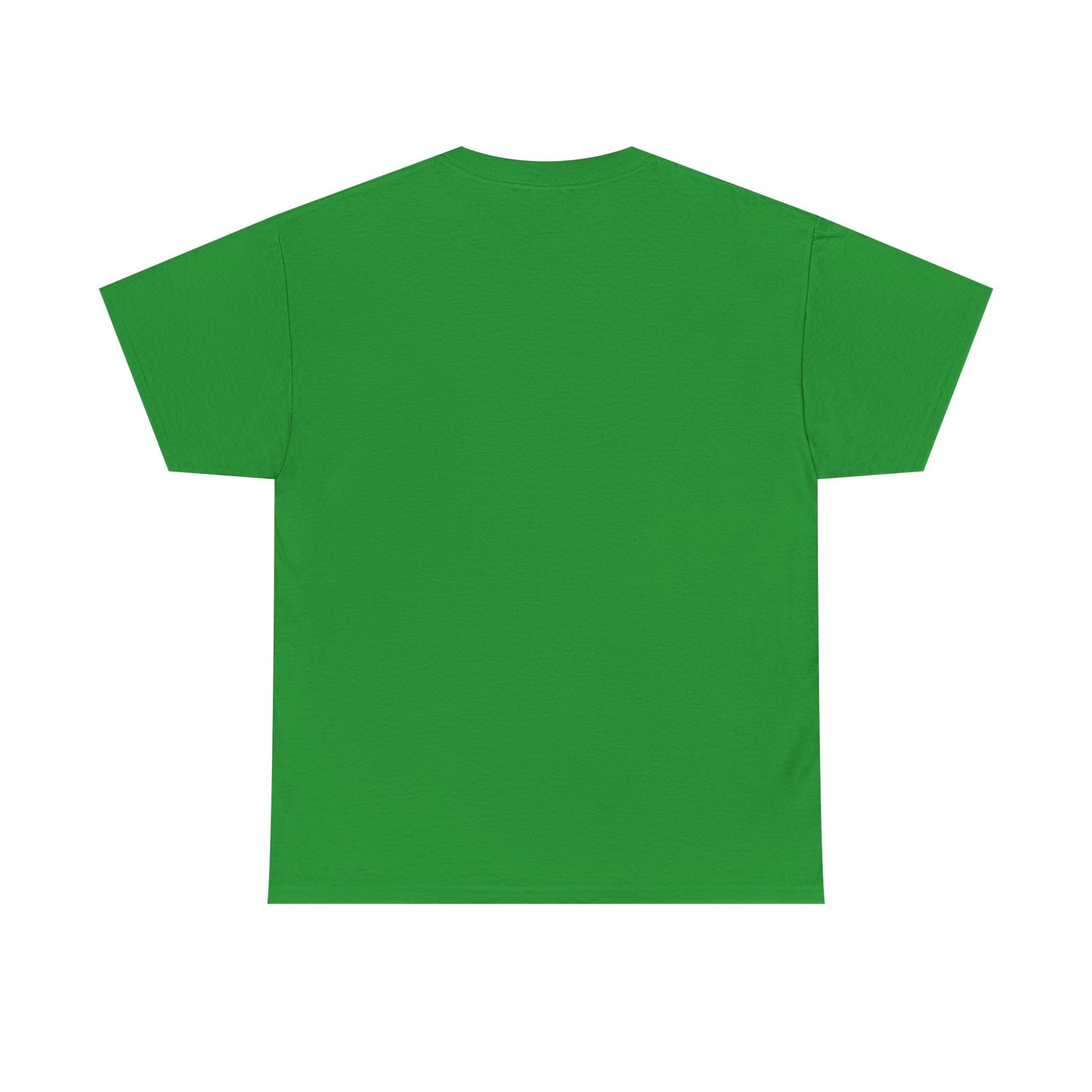 I Dont Pay TAXES (Extra Colors) - Unisex Heavy Cotton Tee