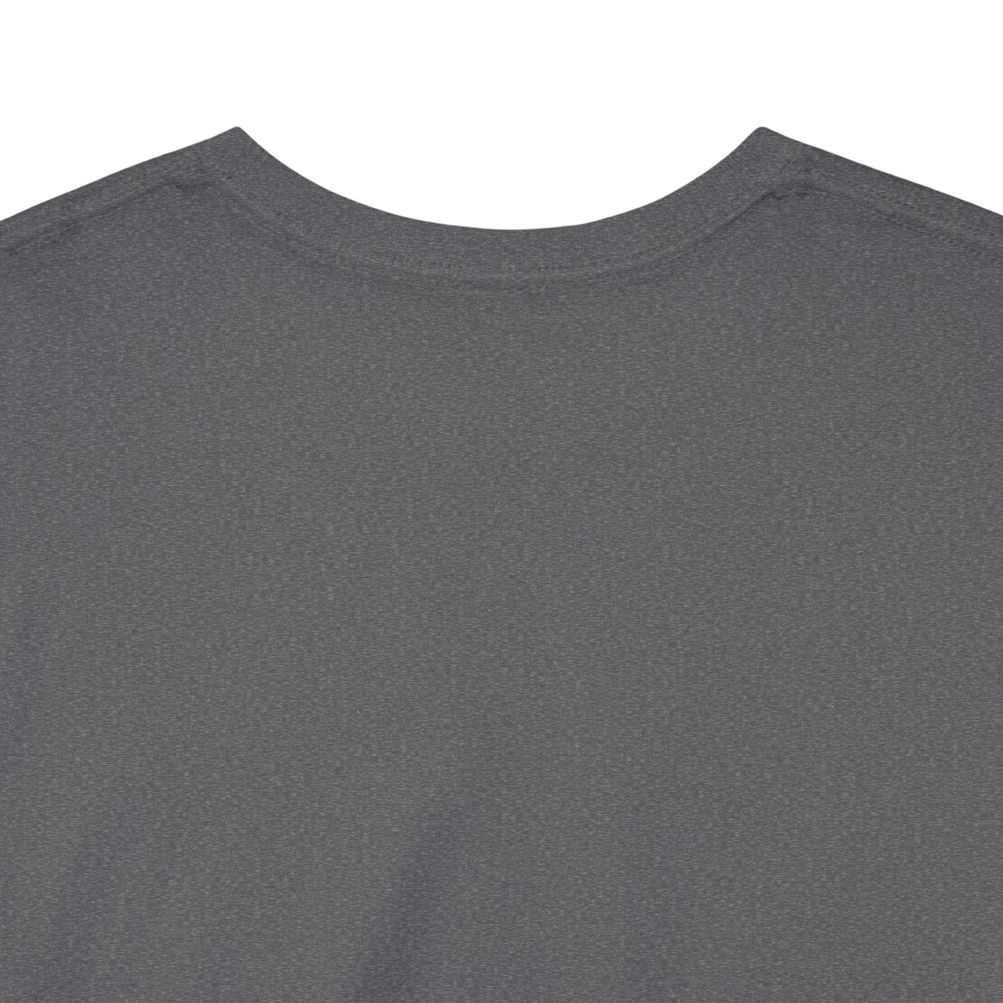2022 Tax Evasion Champion - Unisex Heavy Cotton Tee